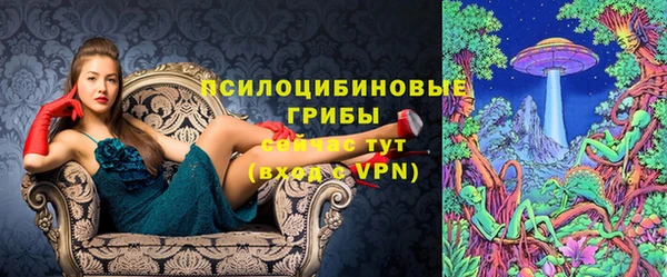 сатива Дмитриев