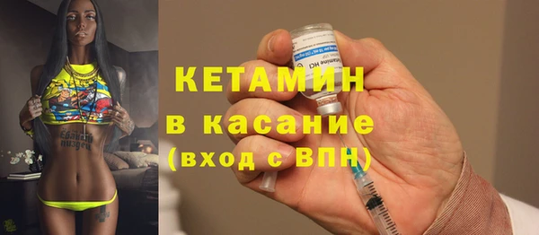 сатива Дмитриев