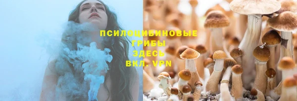 прущий лед Дмитровск