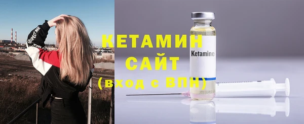 сатива Дмитриев