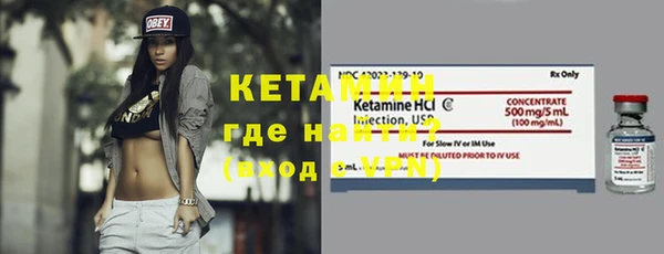 сатива Дмитриев