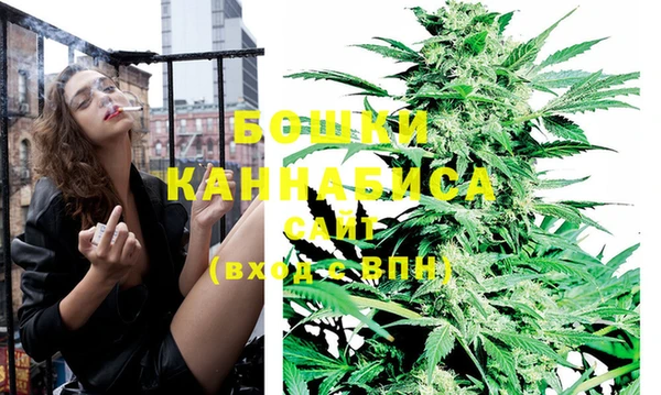 сатива Дмитриев