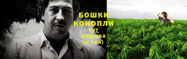 mdpv Дмитров