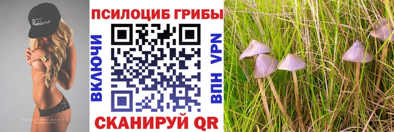 Псилоцибиновые грибы MAGIC MUSHROOMS Купить Нижняя Тура